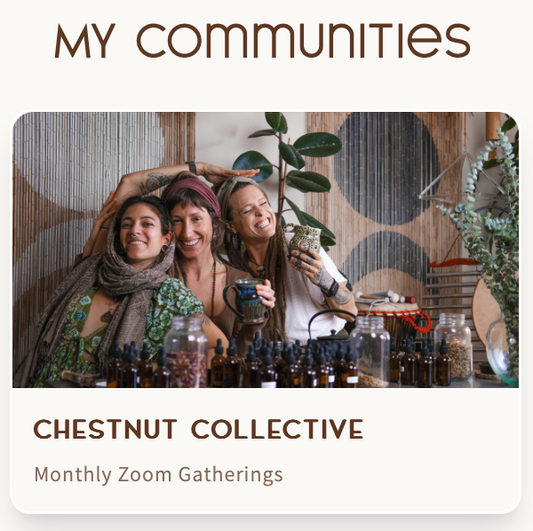 Chestnut Collective